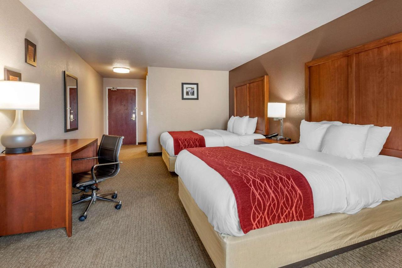 Comfort Inn & Suites Lawrenceburg Eksteriør billede